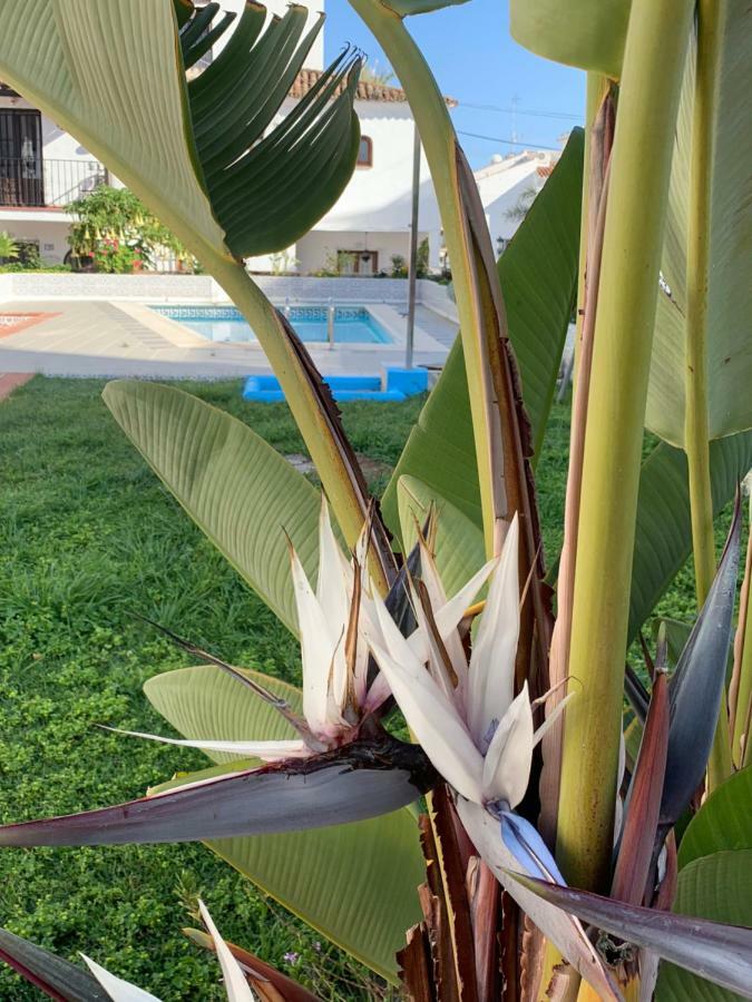 Сasa de vacaciones Casa María Nerja